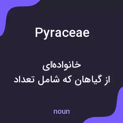 معنی pyraceae به فارسی معنی pyraceae به فارسی