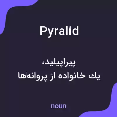 معنی pyralid به فارسی معنی pyralid به فارسی