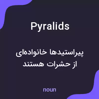 معنی pyralids به فارسی معنی pyralids به فارسی