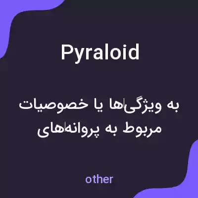 معنی pyraloid به فارسی