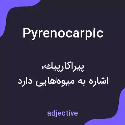 معنی pyrenocarpic به فارسی معنی pyrenocarpic به فارسی