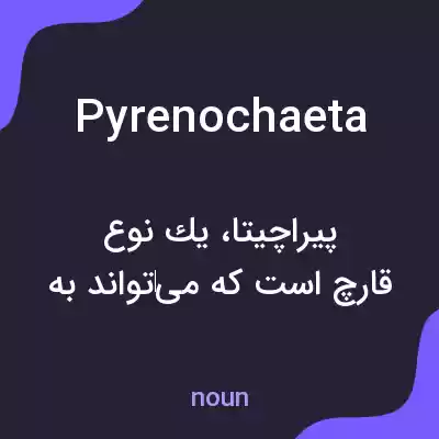 معنی pyrenochaeta به فارسی معنی pyrenochaeta به فارسی