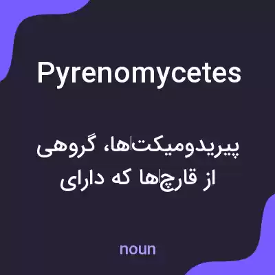 معنی pyrenomycetes به فارسی معنی pyrenomycetes به فارسی