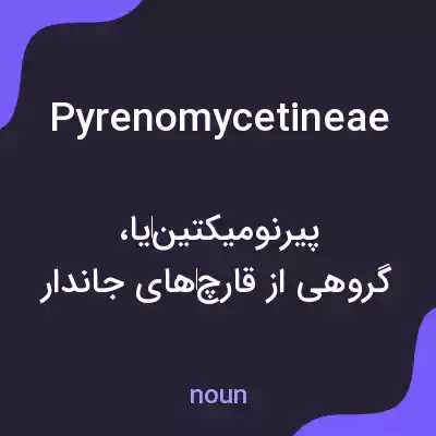 معنی pyrenomycetineae به فارسی معنی pyrenomycetineae به فارسی