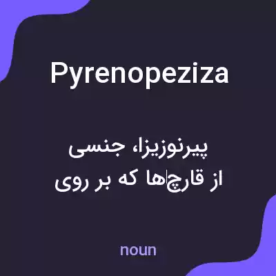 معنی pyrenopeziza به فارسی معنی pyrenopeziza به فارسی