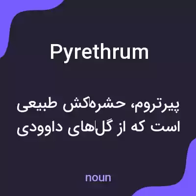 معنی pyrethrum به فارسی معنی pyrethrum به فارسی