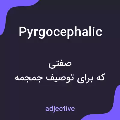 معنی pyrgocephalic به فارسی معنی pyrgocephalic به فارسی