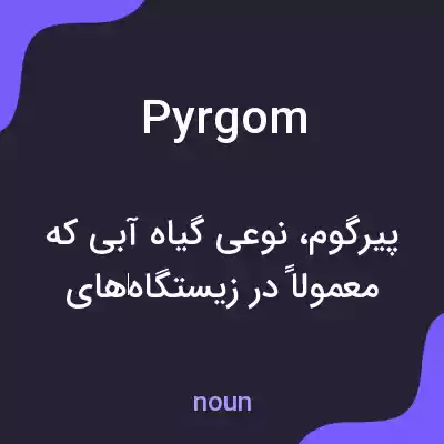 معنی pyrgom به فارسی معنی pyrgom به فارسی