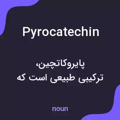 معنی pyrocatechin به فارسی