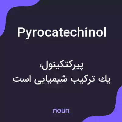 معنی pyrocatechinol به فارسی
