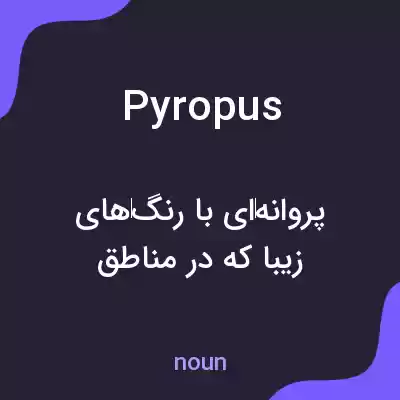 معنی pyropus به فارسی