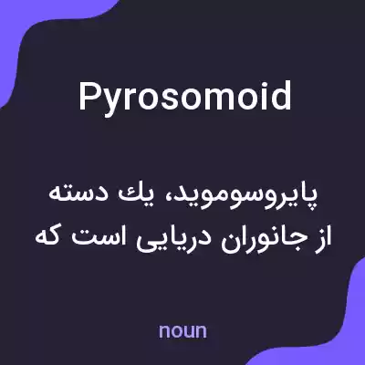معنی pyrosomoid به فارسی