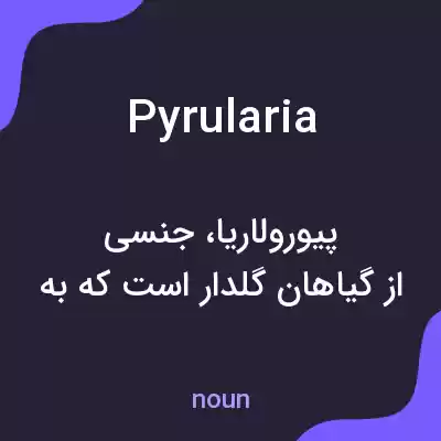 معنی pyrularia به فارسی معنی pyrularia به فارسی