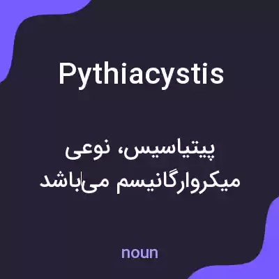 معنی pythiacystis به فارسی