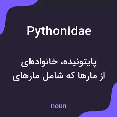 معنی pythonidae به فارسی معنی pythonidae به فارسی