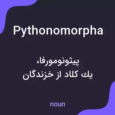 معنی pythonomorpha به فارسی معنی pythonomorpha به فارسی