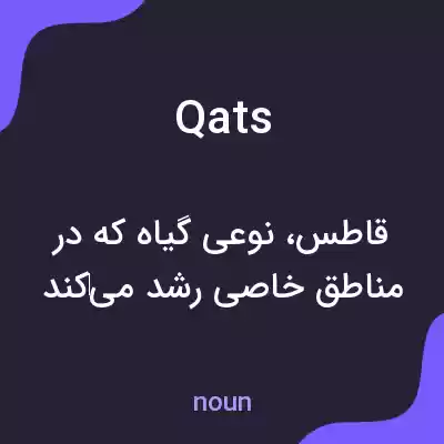 معنی qats به فارسی معنی qats به فارسی