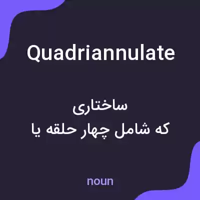 معنی quadriannulate به فارسی معنی quadriannulate به فارسی