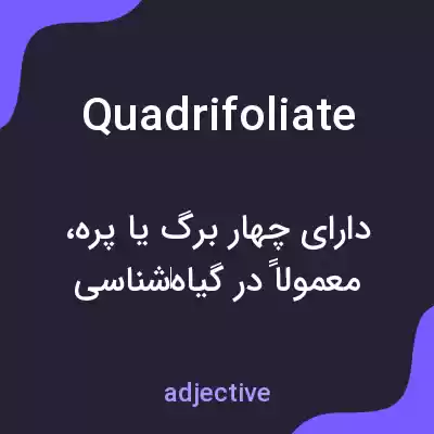 معنی quadrifoliate به فارسی معنی quadrifoliate به فارسی