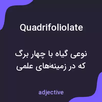 معنی quadrifoliolate به فارسی معنی quadrifoliolate به فارسی