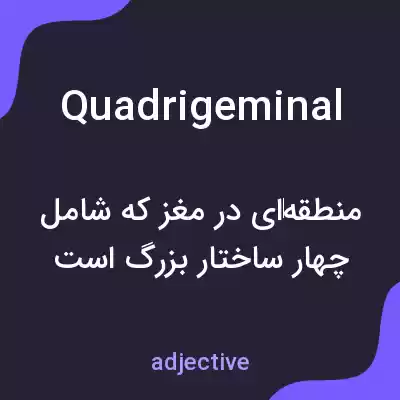 معنی quadrigeminal به فارسی معنی quadrigeminal به فارسی
