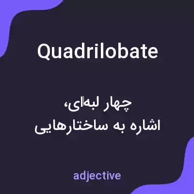معنی quadrilobate به فارسی معنی quadrilobate به فارسی