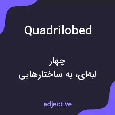 معنی quadrilobed به فارسی معنی quadrilobed به فارسی
