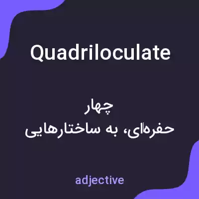 معنی quadriloculate به فارسی معنی quadriloculate به فارسی