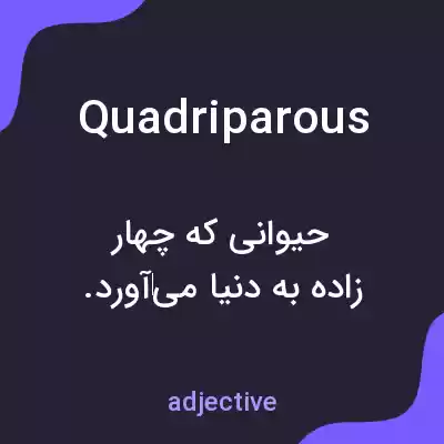 معنی quadriparous به فارسی