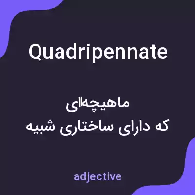 معنی quadripennate به فارسی معنی quadripennate به فارسی