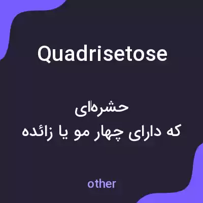معنی quadrisetose به فارسی