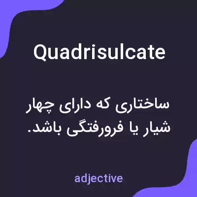 معنی quadrisulcate به فارسی