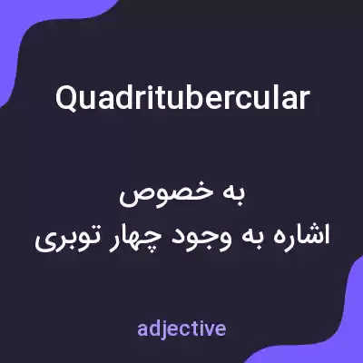 معنی quadritubercular به فارسی معنی quadritubercular به فارسی