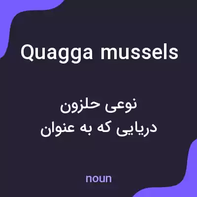 معنی quagga mussels به فارسی معنی quagga mussels به فارسی