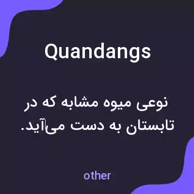 معنی quandangs به فارسی معنی quandangs به فارسی
