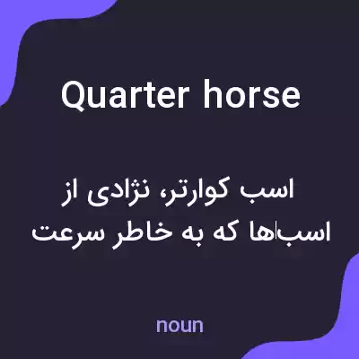 معنی quarter horse به فارسی معنی quarter horse به فارسی