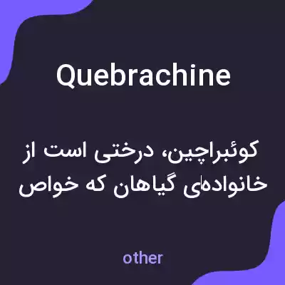 معنی quebrachine به فارسی معنی quebrachine به فارسی