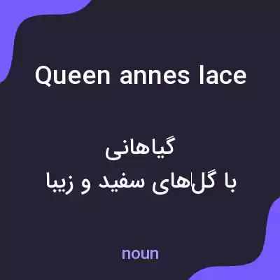 معنی queen annes lace به فارسی