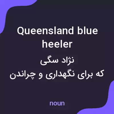 معنی queensland blue heeler به فارسی معنی queensland blue heeler به فارسی
