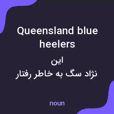 معنی queensland blue heelers به فارسی معنی queensland blue heelers به فارسی