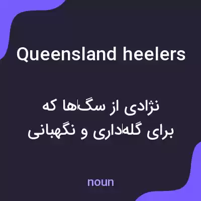 معنی queensland heelers به فارسی معنی queensland heelers به فارسی