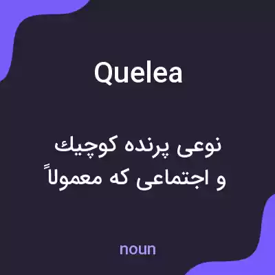 معنی quelea به فارسی معنی quelea به فارسی