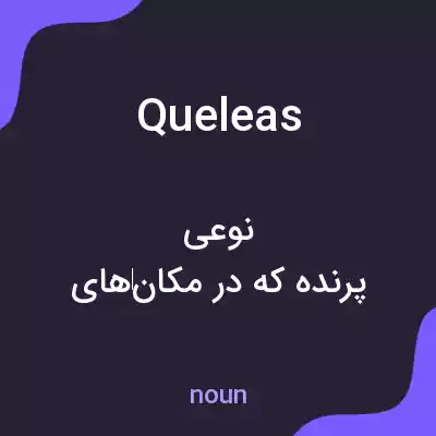معنی queleas به فارسی معنی queleas به فارسی