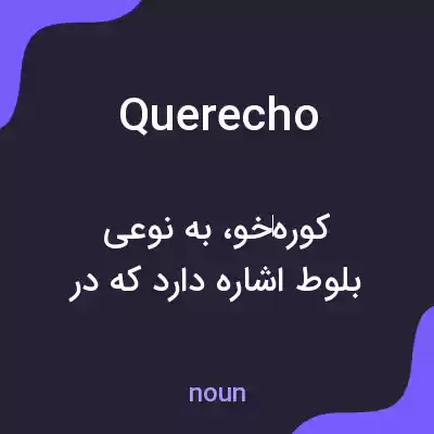 معنی querecho به فارسی معنی querecho به فارسی