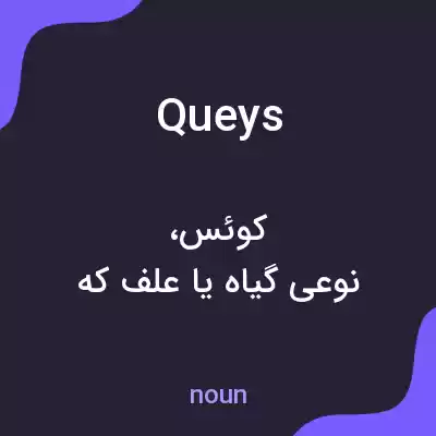 معنی queys به فارسی معنی queys به فارسی
