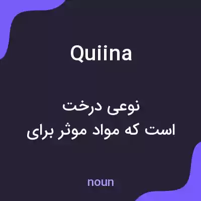 معنی quiina به فارسی معنی quiina به فارسی