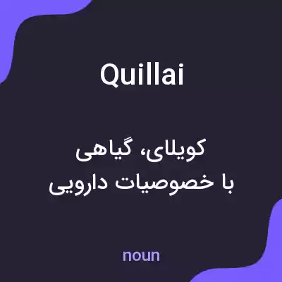 معنی quillai به فارسی معنی quillai به فارسی