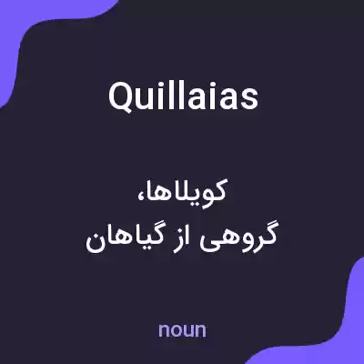 معنی quillaias به فارسی معنی quillaias به فارسی