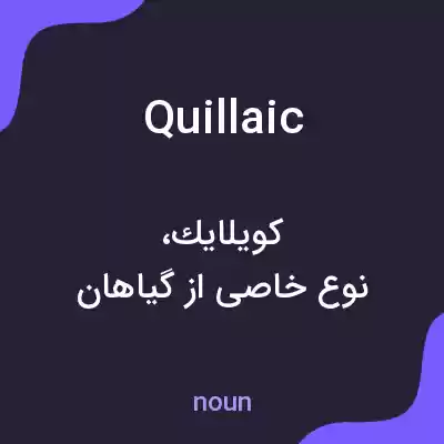 معنی quillaic به فارسی معنی quillaic به فارسی