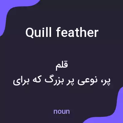 معنی quill feather به فارسی معنی quill feather به فارسی